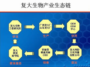 如何尋找技術(shù)過(guò)硬的化妝品OEM代加工工廠 從技術(shù)審核到推廣服務(wù)的全攻略